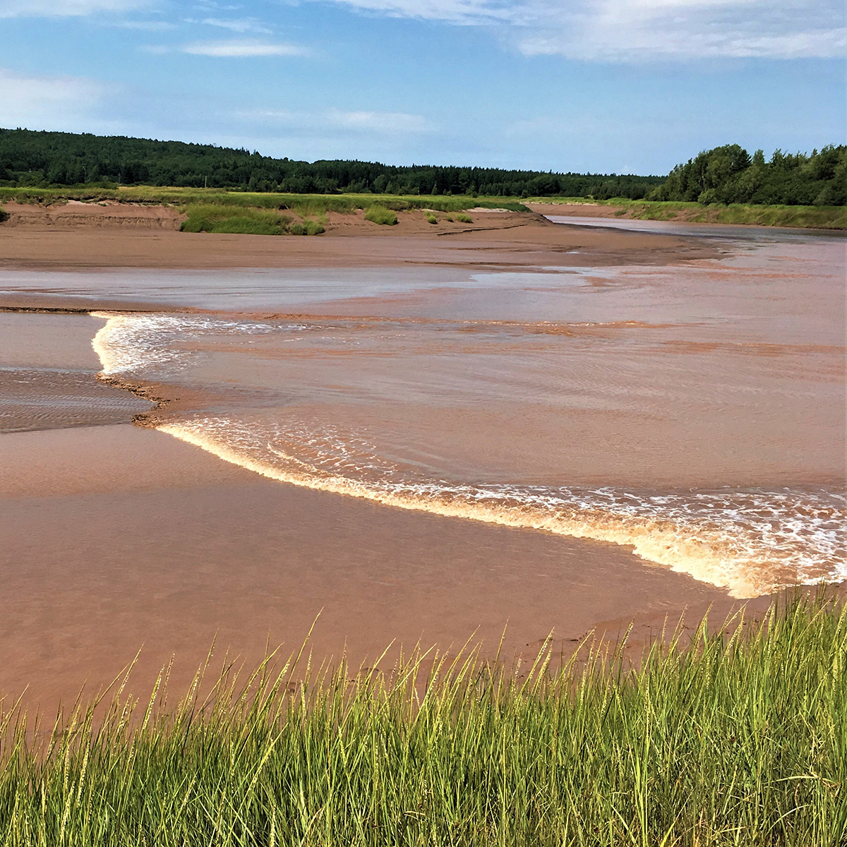 Maccan Tidal Wetlands Park